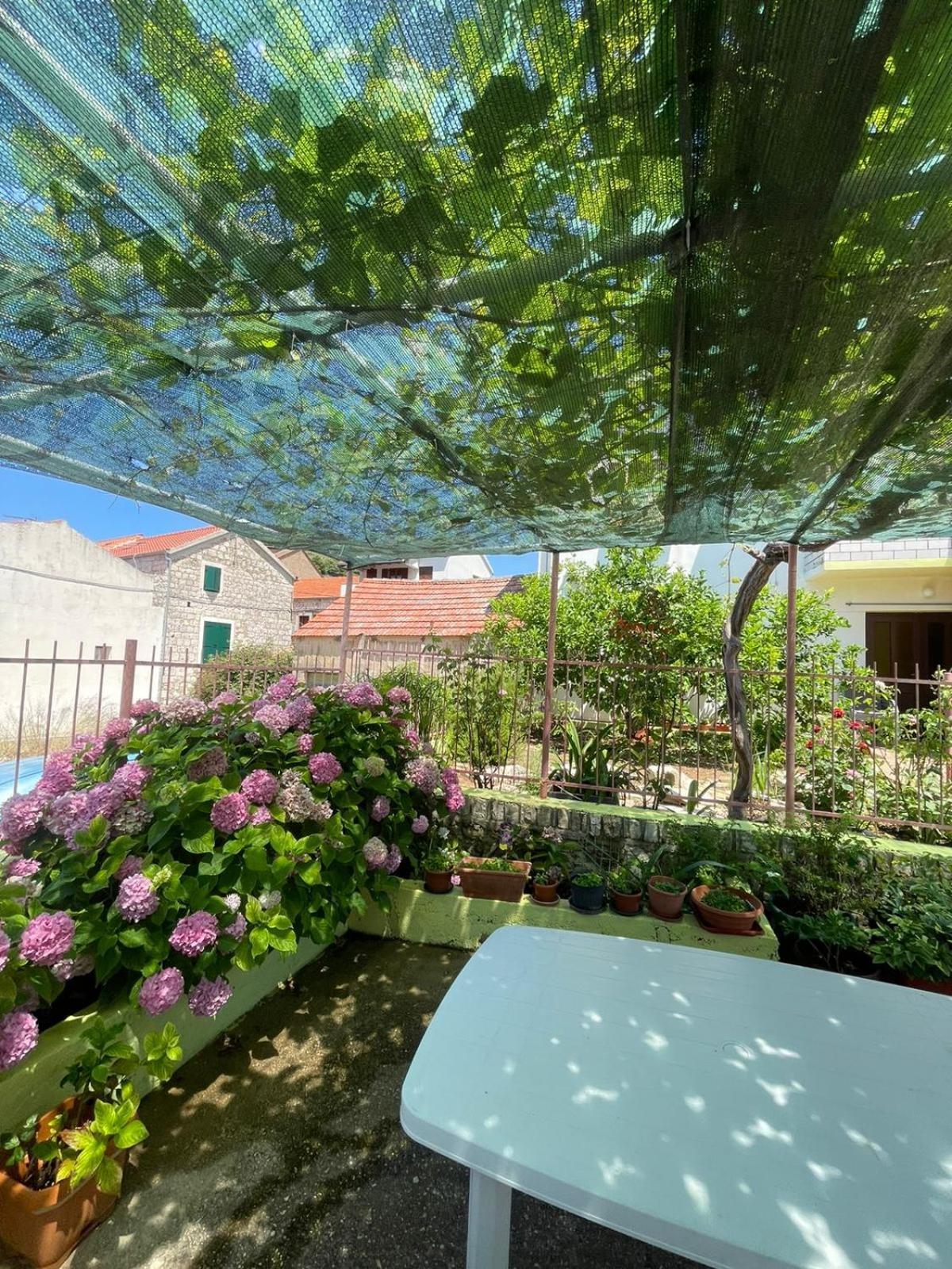 Apartments Bilic Vis Bagian luar foto